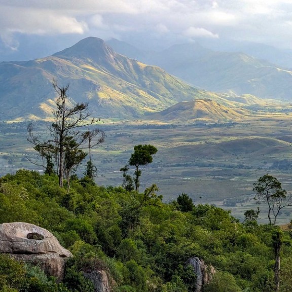 2024 85A Ambatotsirongorongo overviewcVincent Kraneis 600px